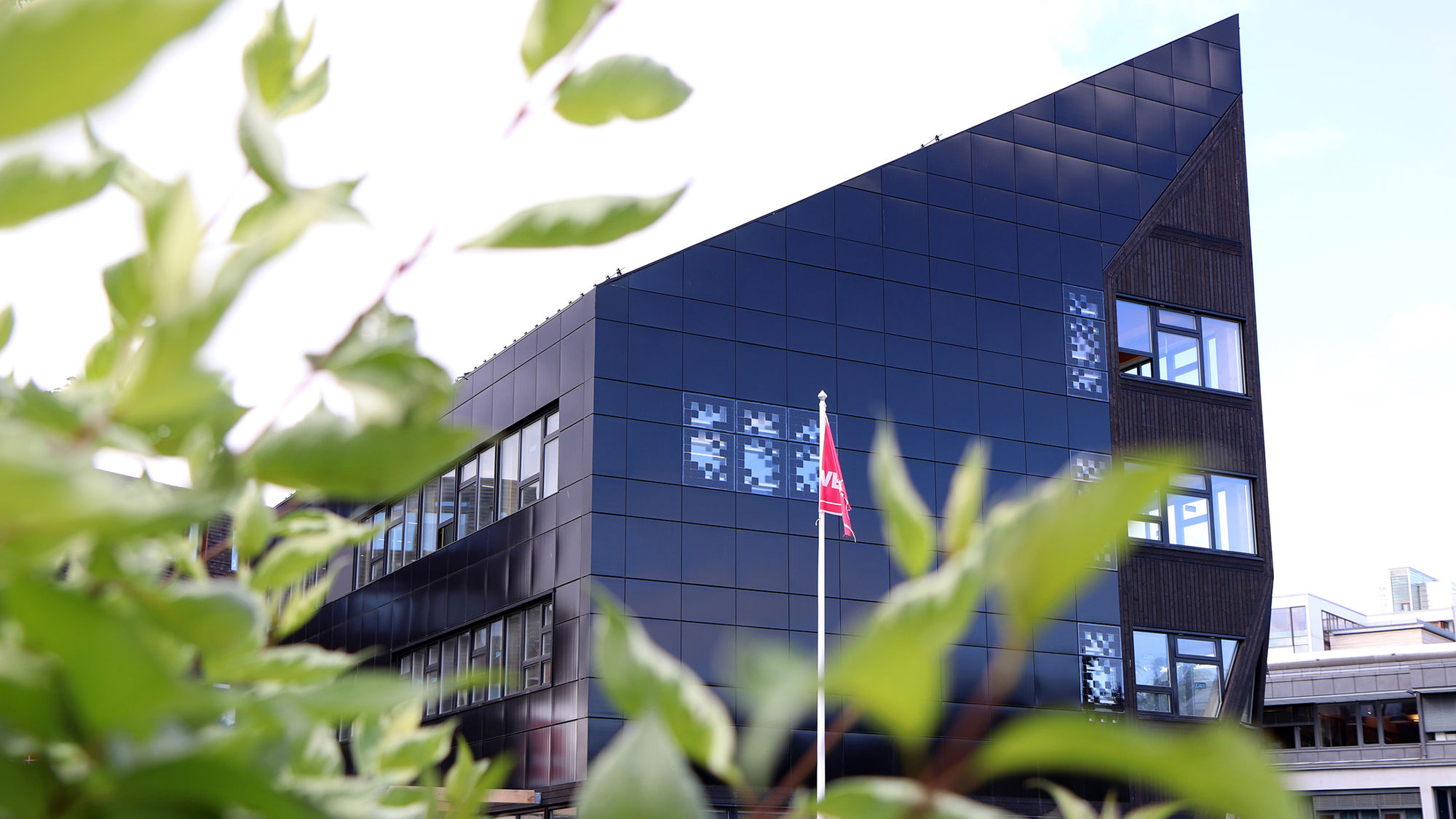 Green leaves in the foreground. Modern office building in the background. Photo.